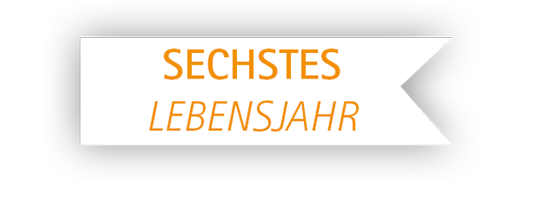 Kindersprache: Entwicklung 6. Lebensjahr